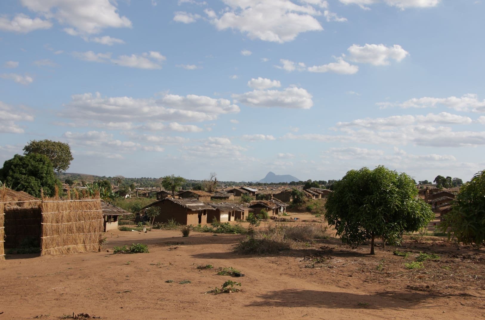 Vardarbīga vajāšana Mozambikā