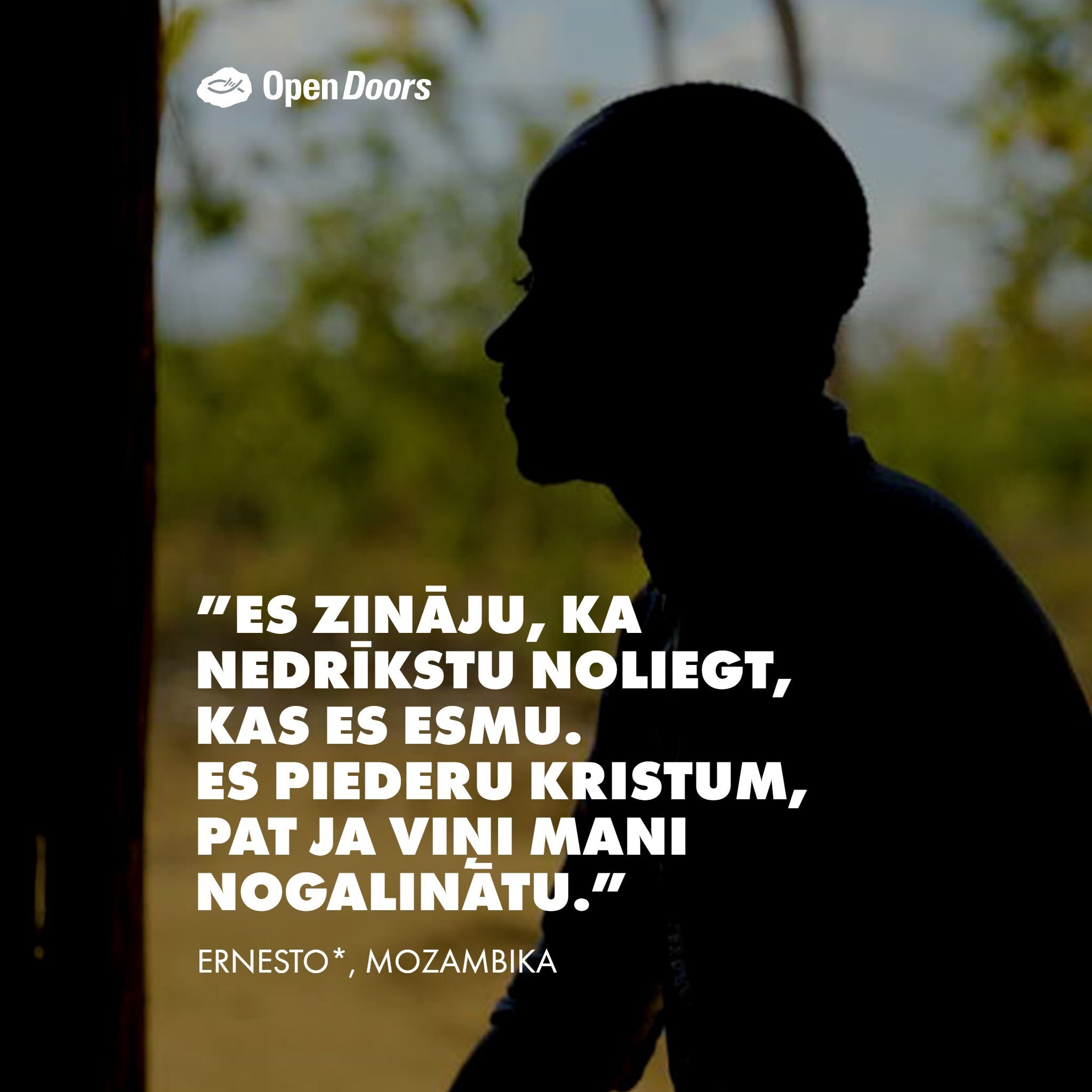 Ernesto liecība Mozambikā